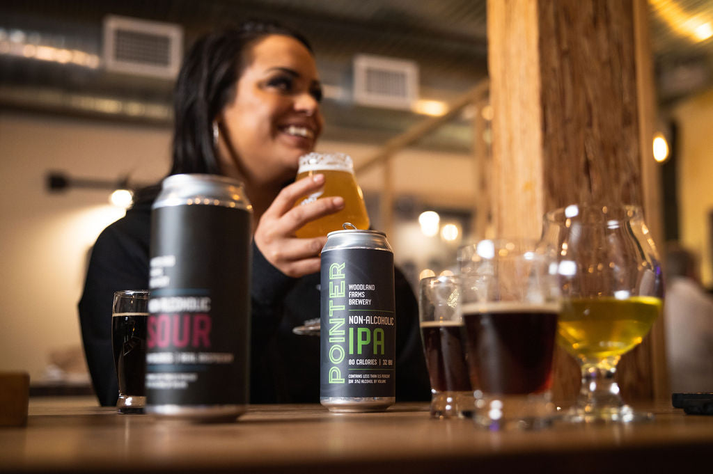 Ruby - Non Alcoholic Sour, 4 pack - Woodland Farms Brewery LLC