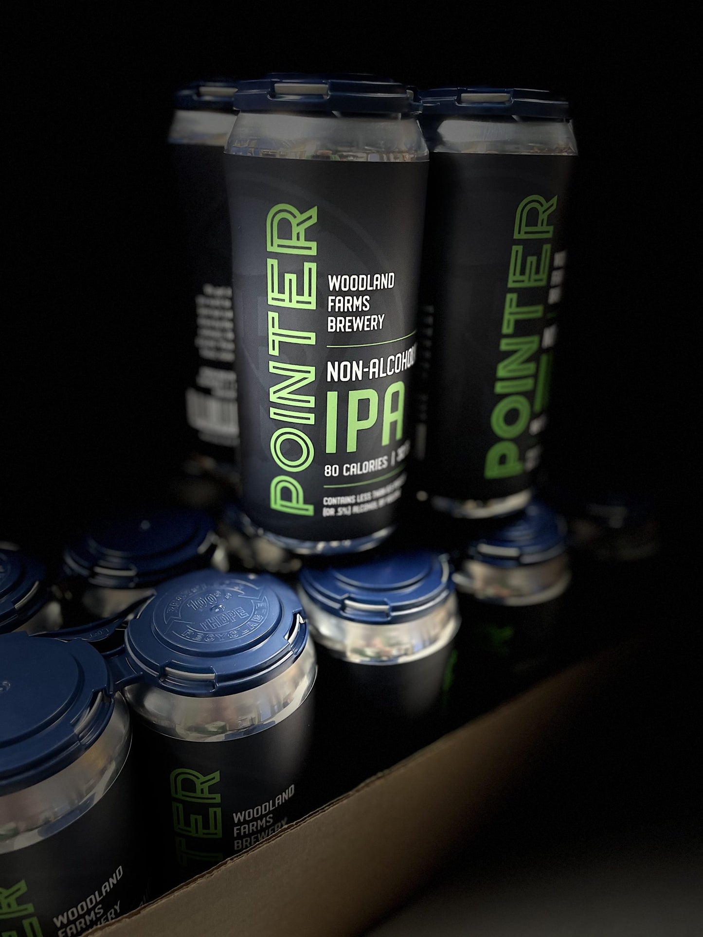 Pointer - Non-Alcoholic IPA, 4 pack - Woodland Farms Brewery LLC
